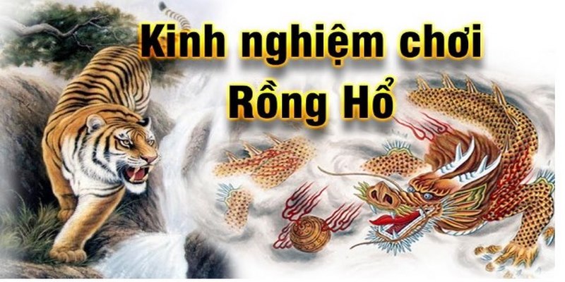 Chia sẻ cách chơi Rồng Hổ thắng không phải ai cũng biết